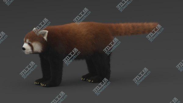 images/goods_img/20210312/Red Panda 3D/3.jpg